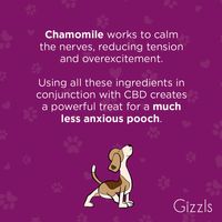 Gizzls Stress & Anxiety CBD Treats - Med/Large Dog